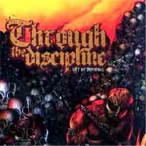 Through The Discipline - Art Of Survival album
