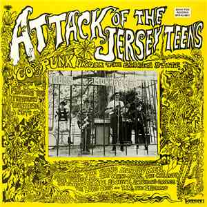 Various - Attack Of The Jersey Teens album
