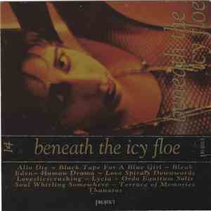 Various - Beneath The Icy Floe album