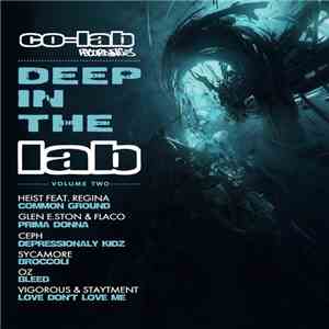 Various - Deep In The Lab Volume 2 album