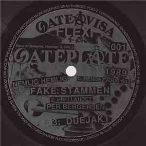 Various - Gateavisa Flexi album
