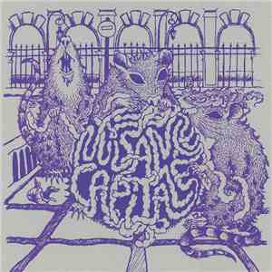 Various - Nuisance Capitale album