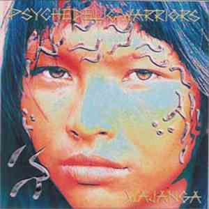 Various - Psychedelic Warriors album