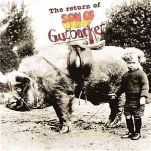 Various - The Return Of Son Of Gutbucket album