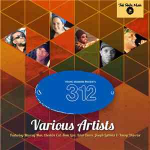 Various - Young Warrior Presents 312 album