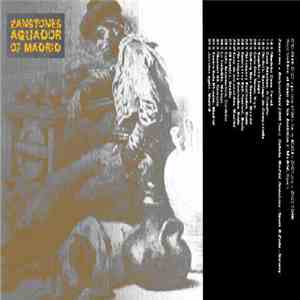 Zanstones - Aguador Of Madrid album
