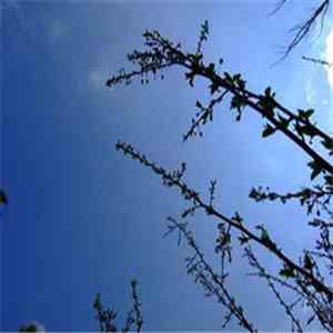 0729 - Stil.Life album