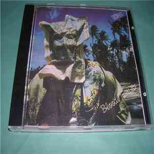 10cc - Bloody Tourists album
