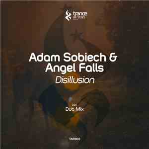 Adam Sobiech & Angel Falls  - Disillusion album