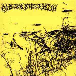Ahlzagailzehguh - Enemy Of The Future album
