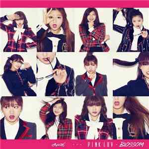 Apink - Pink Luv / Pink Blossom album