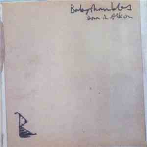 Babyshambles - Down In Albion (Clean Album Sampler) album