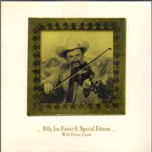 Billy Joe Foster & Special Edition - Wild Horse Creek album