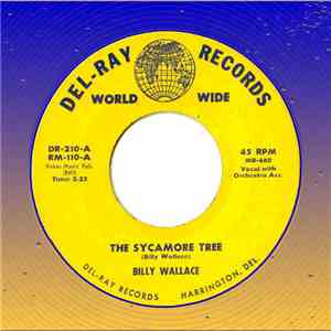 Billy Wallace  - The Sycamore Tree album