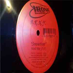 B.K.N.Y. - Sensation album