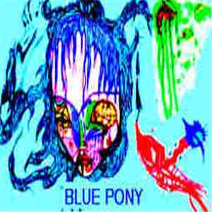 Blue Pony / Stapledpenisgolem - Split album
