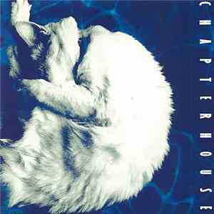Chapterhouse - Whirlpool album