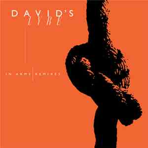 David's Lyre - In Arms Remixes album