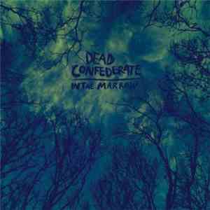 Dead Confederate - In The Marrow album