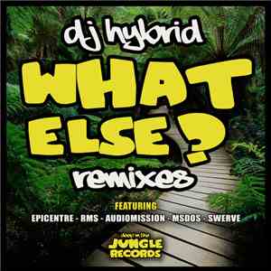 DJ Hybrid - What Else? Remixes album