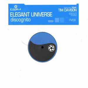 Elegant Universe - Discognito album