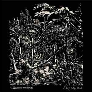 Forgotten Pathways - A Long Way Home album
