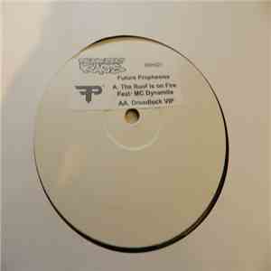Future Prophecies - The Roof Is On Fire / Dreadlock (VIP) album