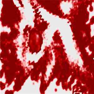 La Rupture de l'Esprit - Early Works (Poor Mix) album