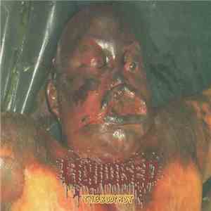 Liquidised - The Body Rot album