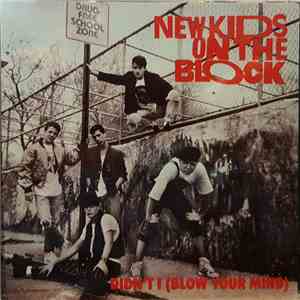 New Kids On The Block - Didn't I (Blow Your Mind) album