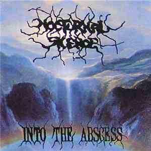 Nocturnal Silence - Into the Abscess album