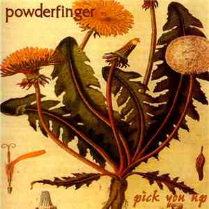 Powderfinger - Pick You Up album