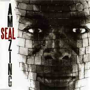 Seal - Amazing album