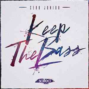 Sebb Junior - Keep The Bass album