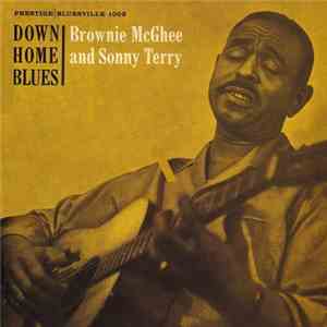 Sonny Terry & Brownie McGhee - Down Home Blues album