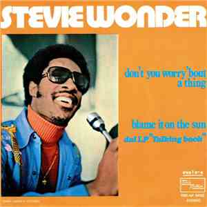 Stevie Wonder - Don't You Worry 'Bout A Thing / Blame It On The Sun album