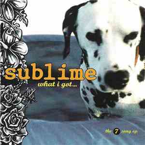 Sublime  - What I Got: The 7 Song EP album