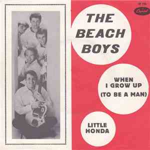 The Beach Boys - When I Grow Up album