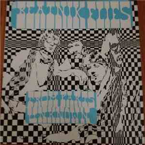 The Beatnik Flies - From Parts Unknown album