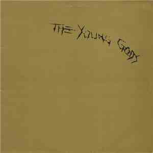 The Young Gods - Did You Miss Me? album