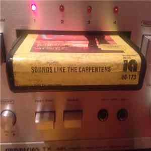 Unknown Artist - Sounds Like The Carpenters album