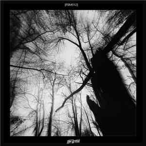 Various - FBM Vol. 12 album