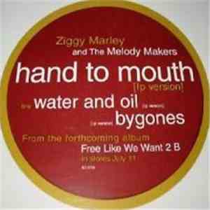 Ziggy Marley And The Melody Makers - Hand To Mouth album