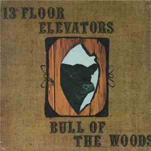 13th Floor Elevators - Bull Of The Woods album