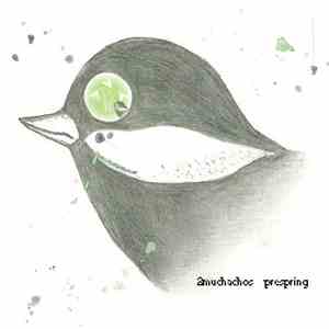2muchachos - Prespring album