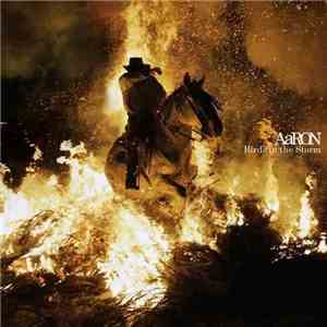 AaRON  - Birds In The Storm album