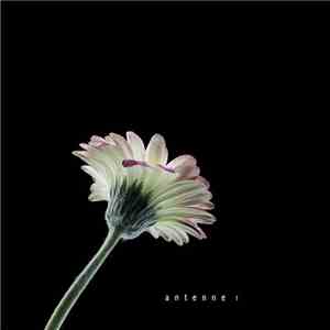 Antenne - #1 album