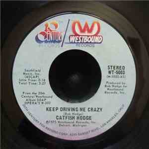 Catfish Hodge - Keep Driving Me Crazy / We Got Love In Our House album