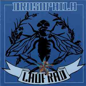 Drosophila - Laufrad album