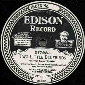 Duke Yellman And His Orchestra - Two Little Bluebirds / Lucky Day album